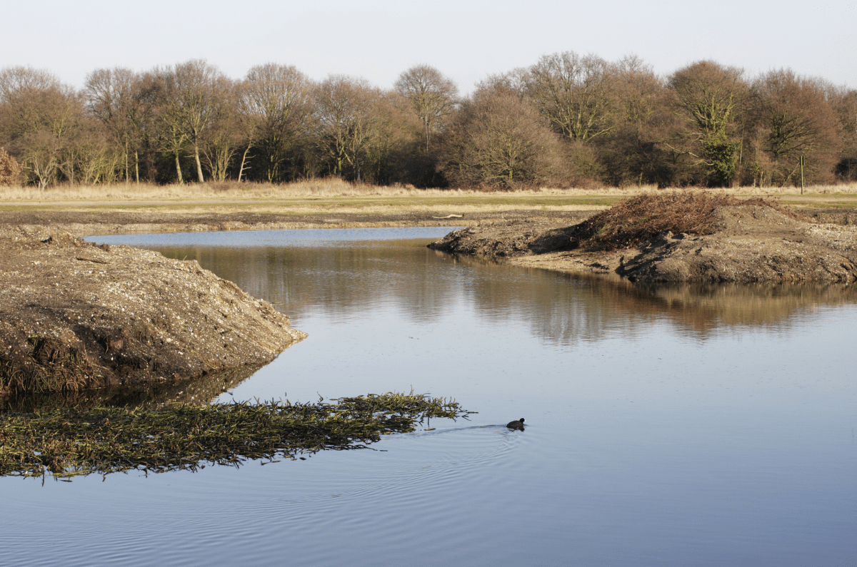 How to Dredge a Pond Without Destroying It